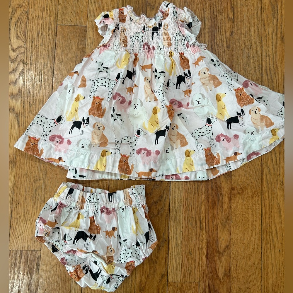 Quince 100% Organic Cotton Poplin Smocked Flutter Sleeve Dress